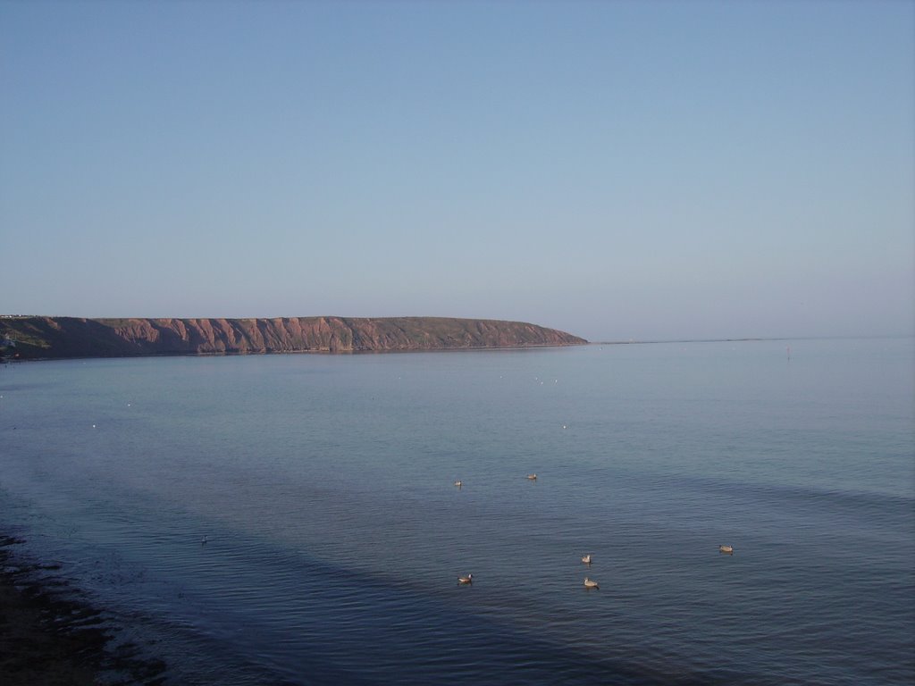 Filey Brigg Mill Pond by nicko1