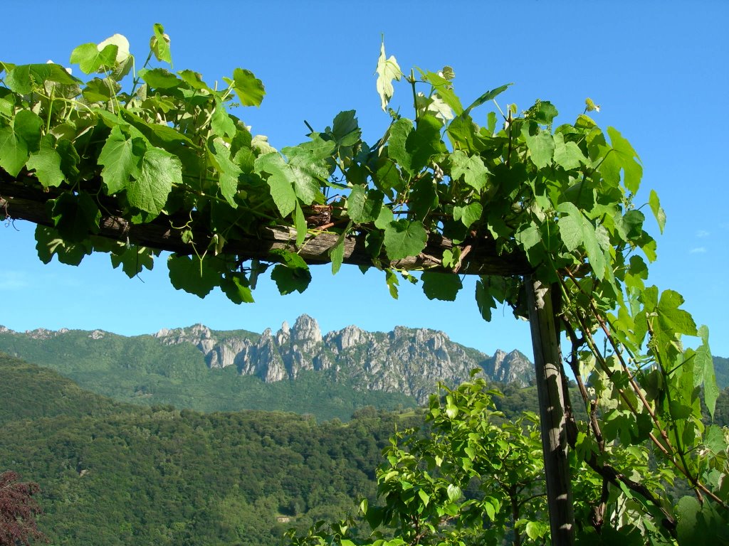 View toward the Denti della Vecchia through a pergola by ugozaccheo