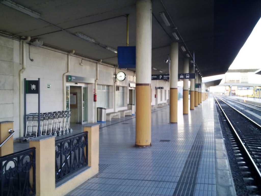 Vista do cais 1. Estação de Badajoz. by A. Miranda