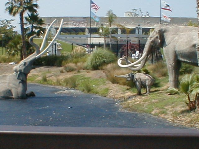 La Brea tar pits by Chris Dunaetz