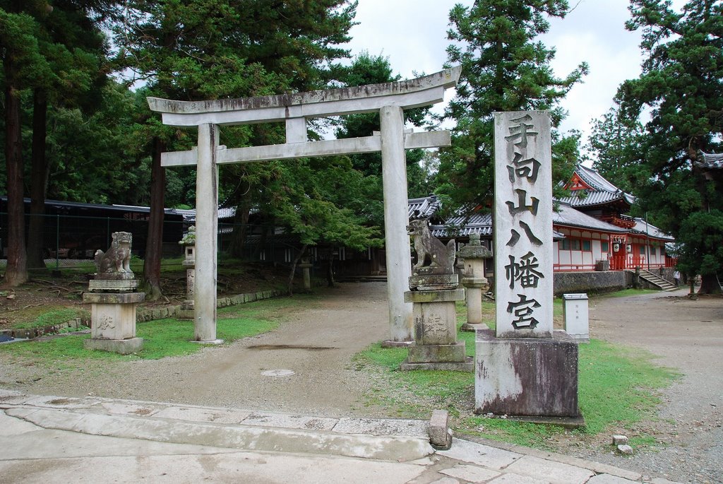 Zoshicho, Nara, Nara Prefecture 630-8211, Japan by jetsun