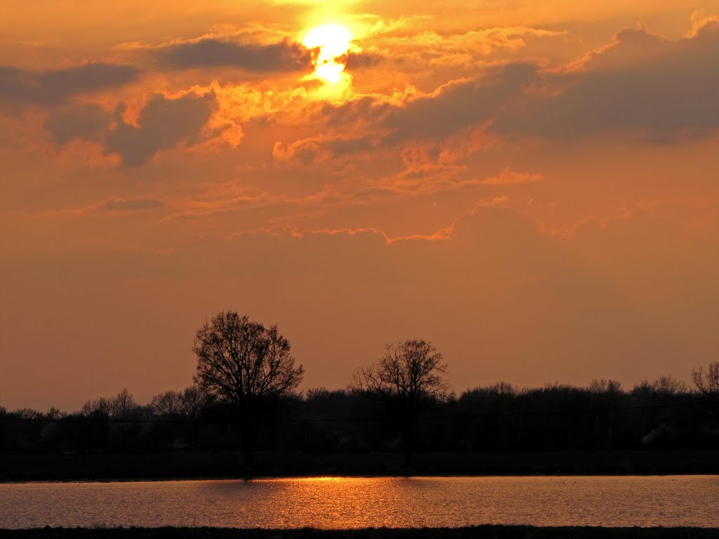 Soir en Dombes by Fernand Serpol