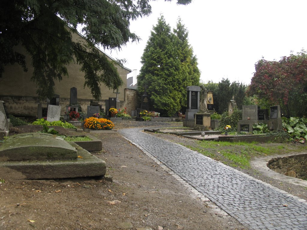 Почётное кладбище в Вышеграде (Honorary churchyard in Vishegrad) by radamant