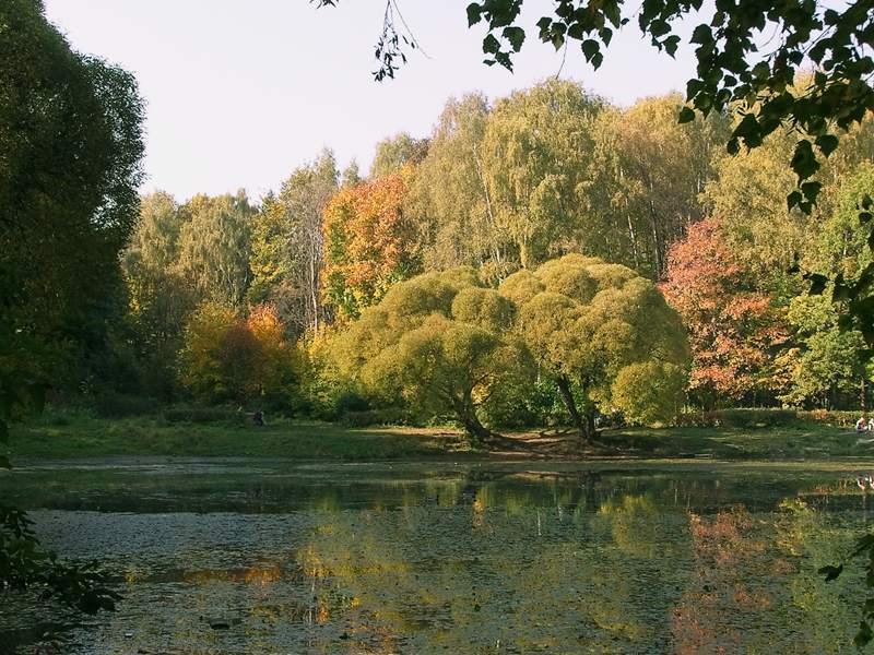 Little Pond in Mazilovo by Sanya_S