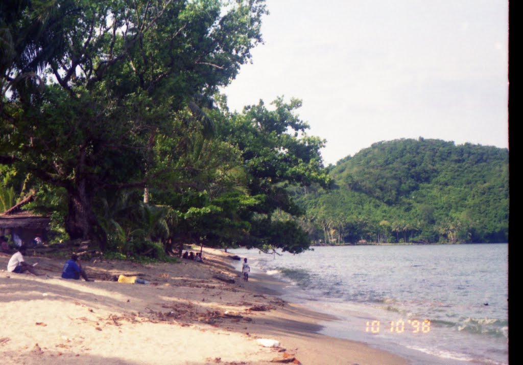 View along Beach on Isthmus on Salamaua Harbour side, looking towards KELA 1 Village area, in MOROBE Province PNG by Peter John Tate,