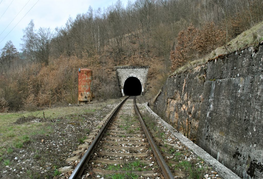 Tunel Dolinský II./bystrický portál by © Ľudo T. 01.