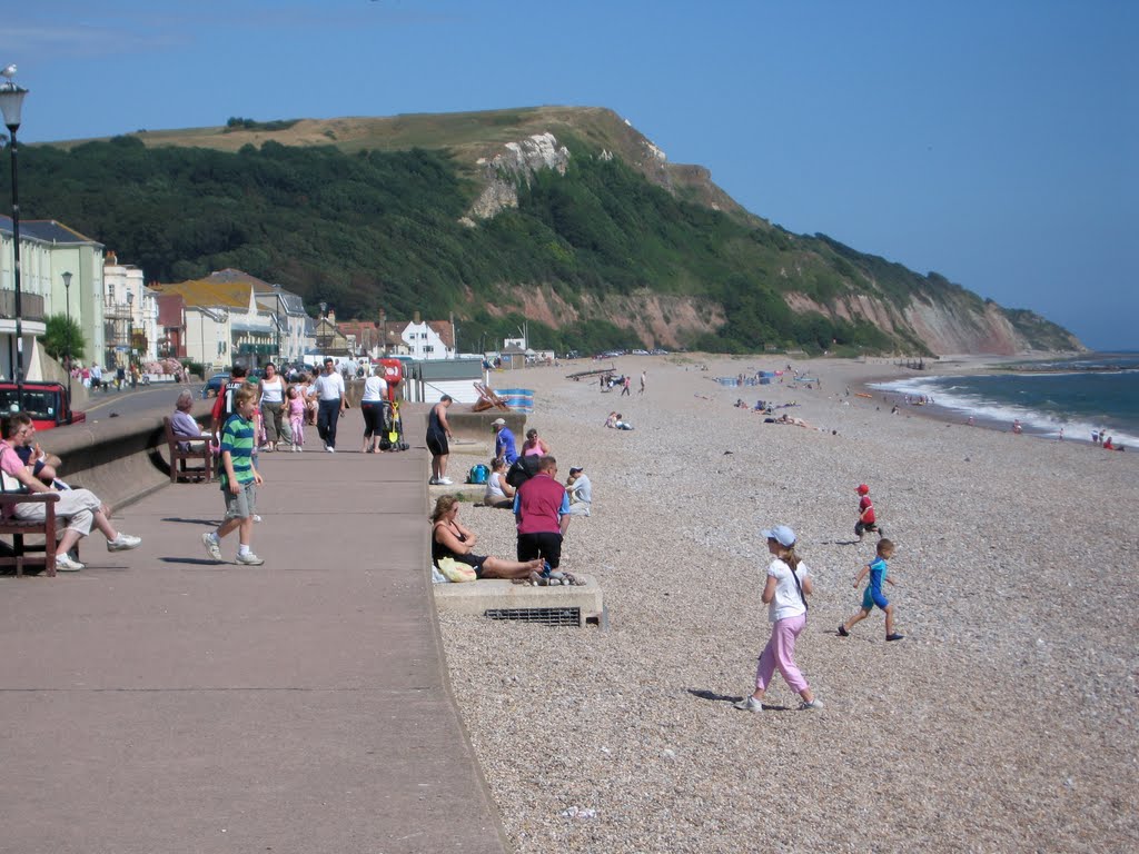 SEATON , DEVON by Alan McFaden