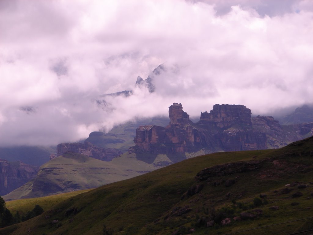 On the road to Drakensberg Gardens by elaine young