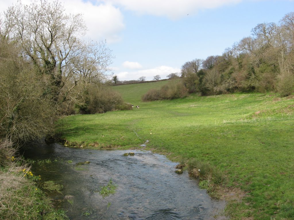 Broadmead Brook at Nettleton Bottom. by Bob&Anne Powell