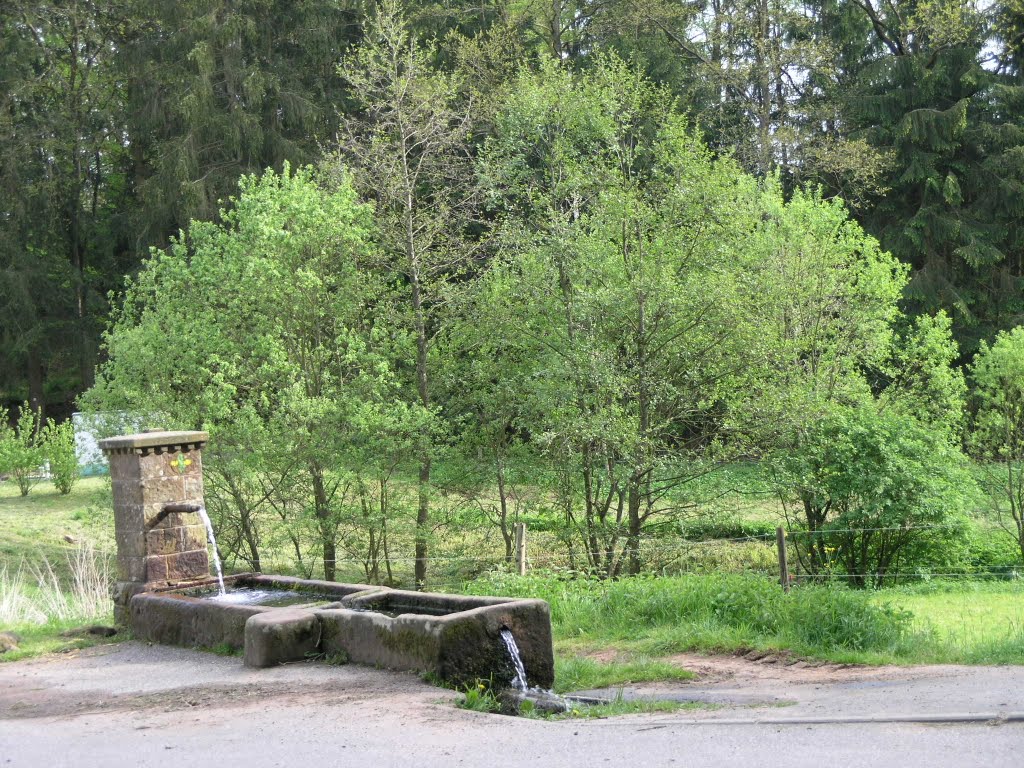 Trippstadt, Brunnen unterhalb des Wilensteinerhofs by Ulrich Gerhard