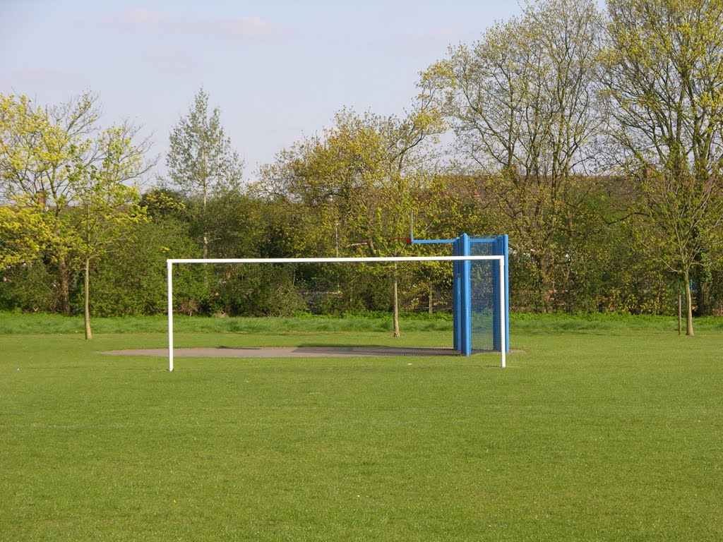 The Meadows Goals! by Sorrell