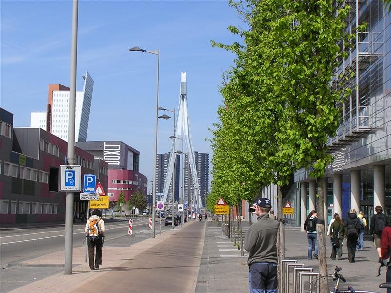 Rotterdam, Erasmus Bridge (Van Berkel) by Tomáš Petermann