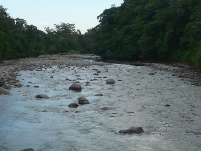 Río Sarapiquí desde el puente viejo by erojascabezas