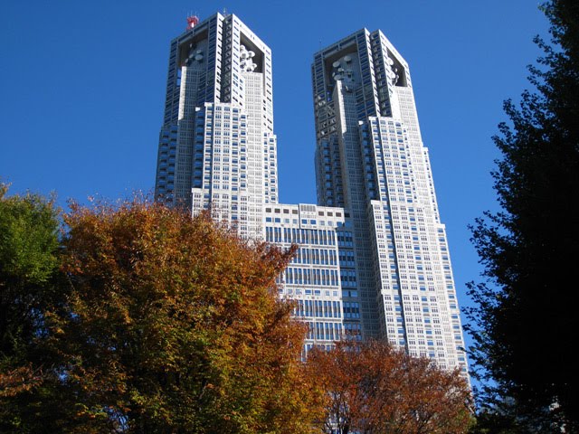 東京都庁と紅葉 (Autumn Leaves and Tokyo Metropolitan Government) 22 Nov, 2008 by cyber0515