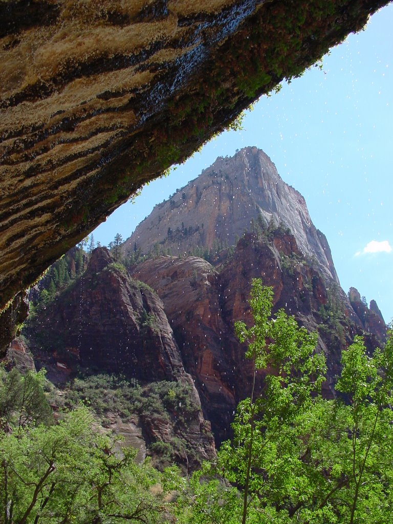 Weeping Rock - Zion NP by Alvaro Mesa