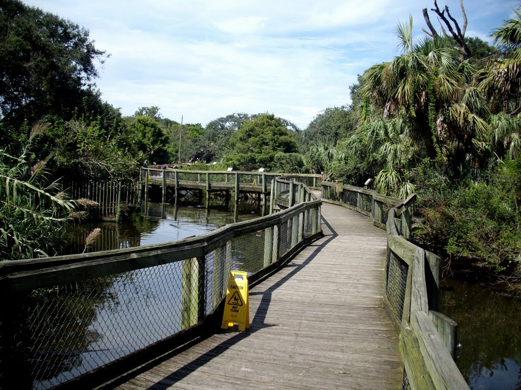 Alligator Farm, Saint Augustine, FL, 2009 by DanyOnTheRoad