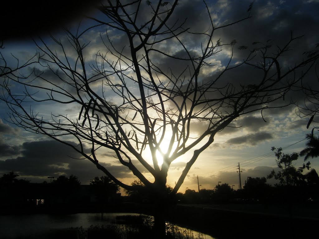 Sombras by Hector Hernando Romero