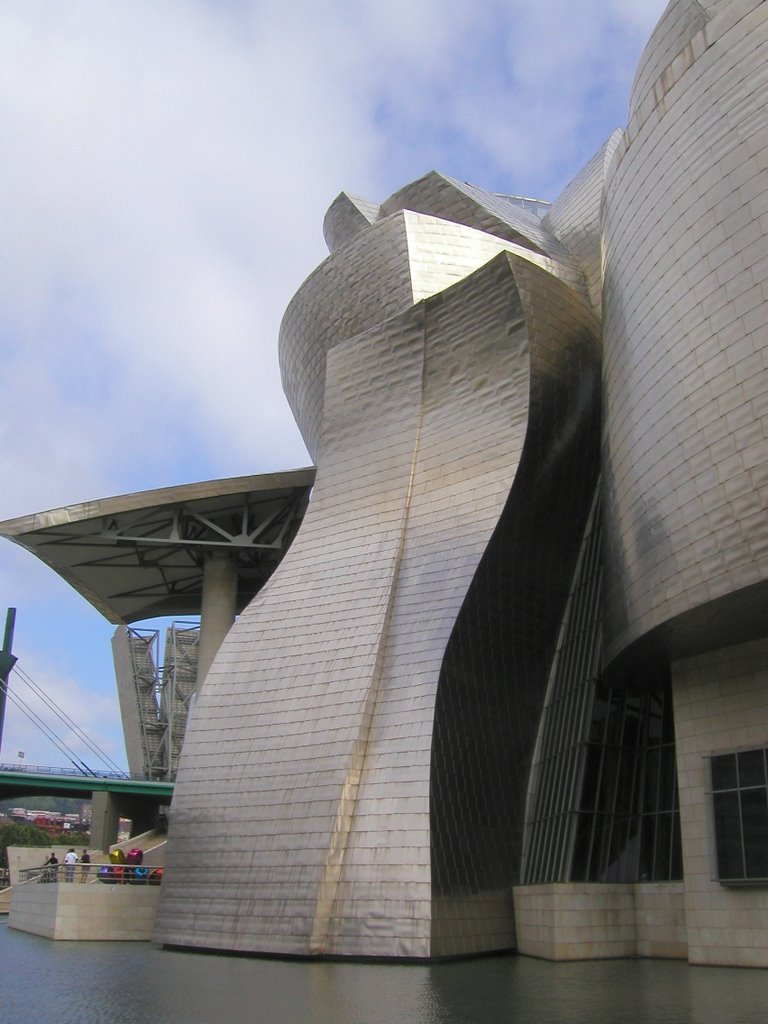 Museo Guggenheim Bilbao by Eduardo Cortaberria