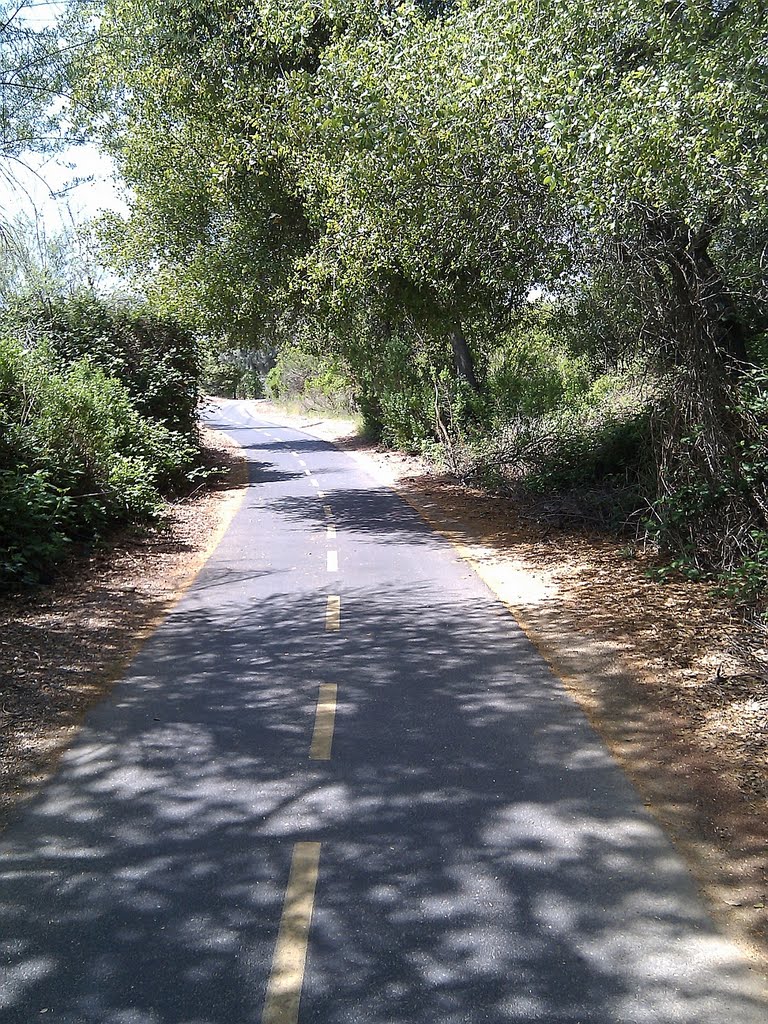 Speckled light on bike trail by Eric Phelps