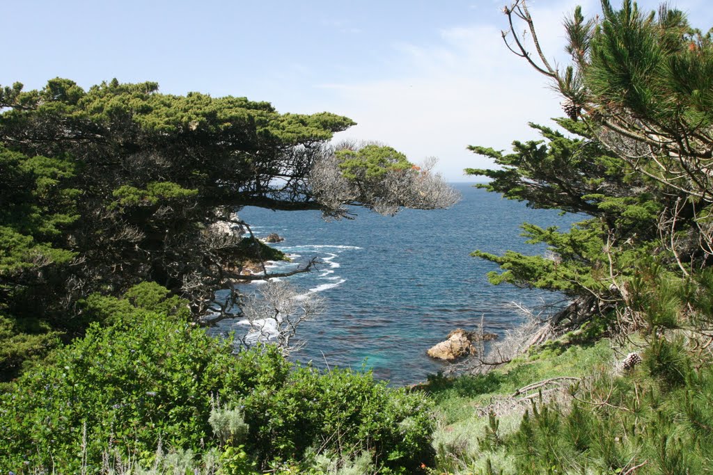 Point Lobos. 2010_04_17 by vadimmanuylov