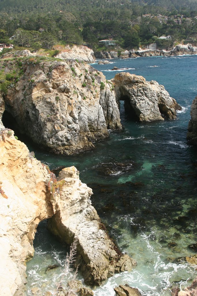 Point Lobos. 2010_04_17 by vadimmanuylov