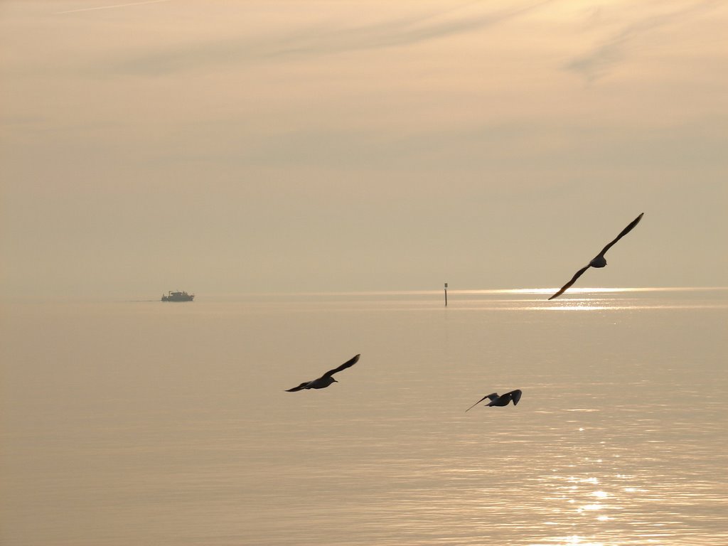 Stimmung am Bodensee by harald helmlechner