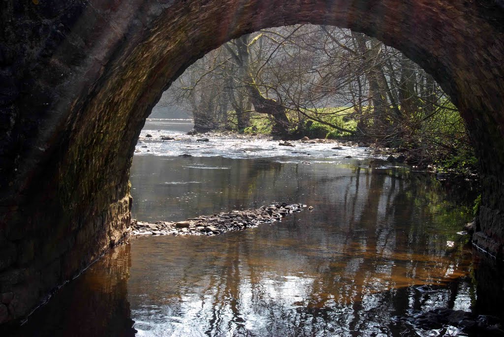 Bridge Arch by Neil Coppick