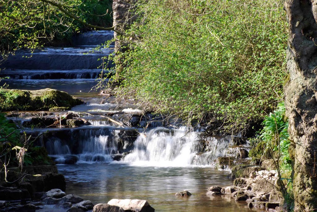 Little Waterfall by Neil Coppick