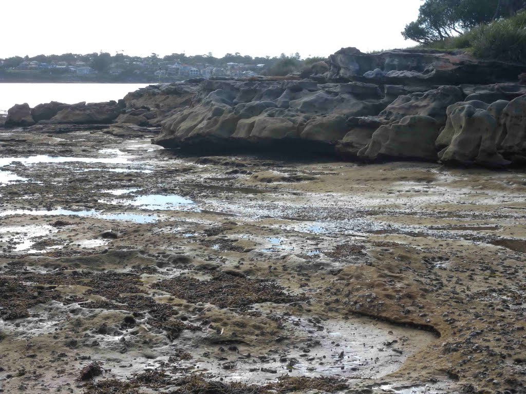 Rocks at Jibbon Beach by robsonap