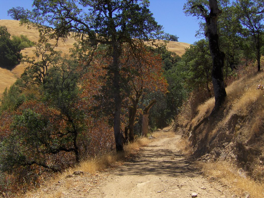 Joseph D Grant Park, Halls Valley Trail, by grey3000