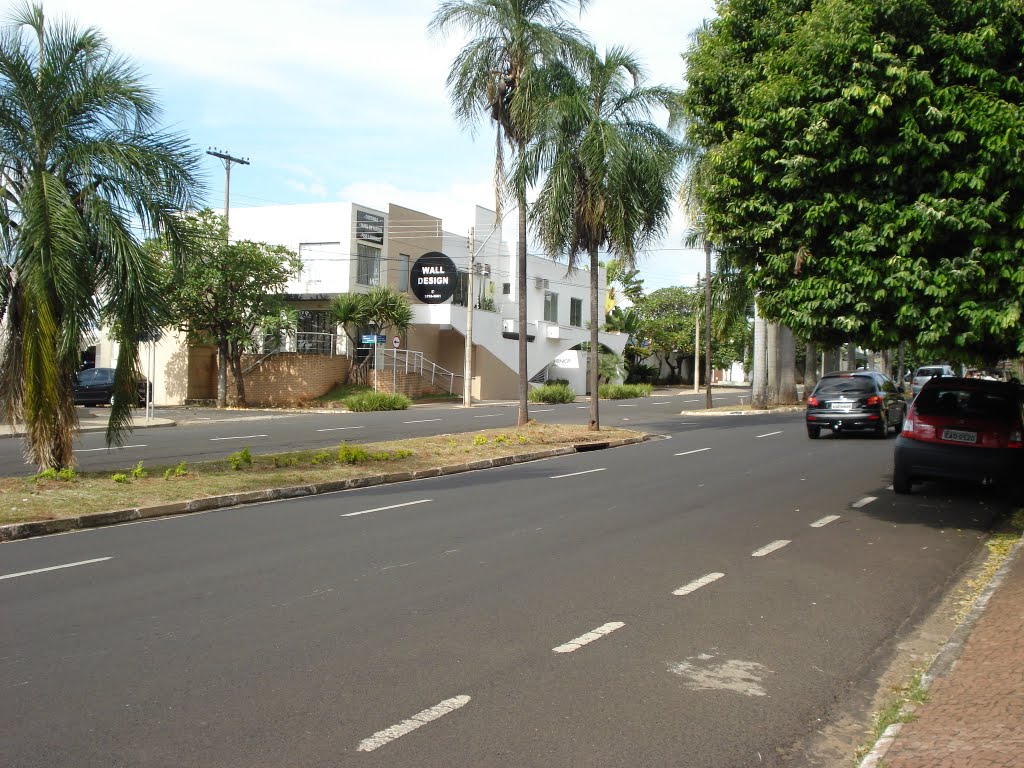 Avenida Fco. Chagas Oliveira by Igor Miatello