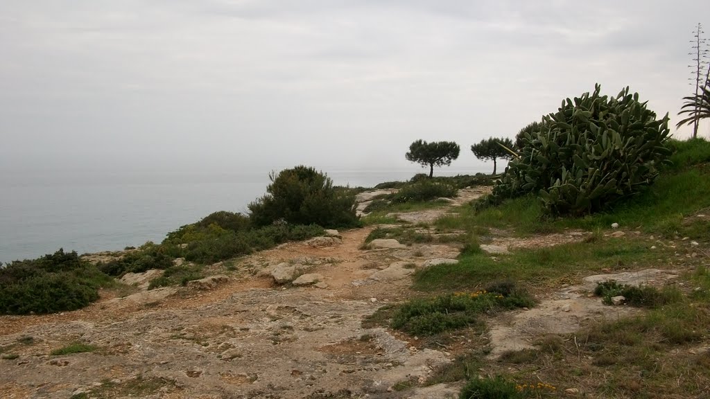 Coastline and the Mediterranean sea by J.