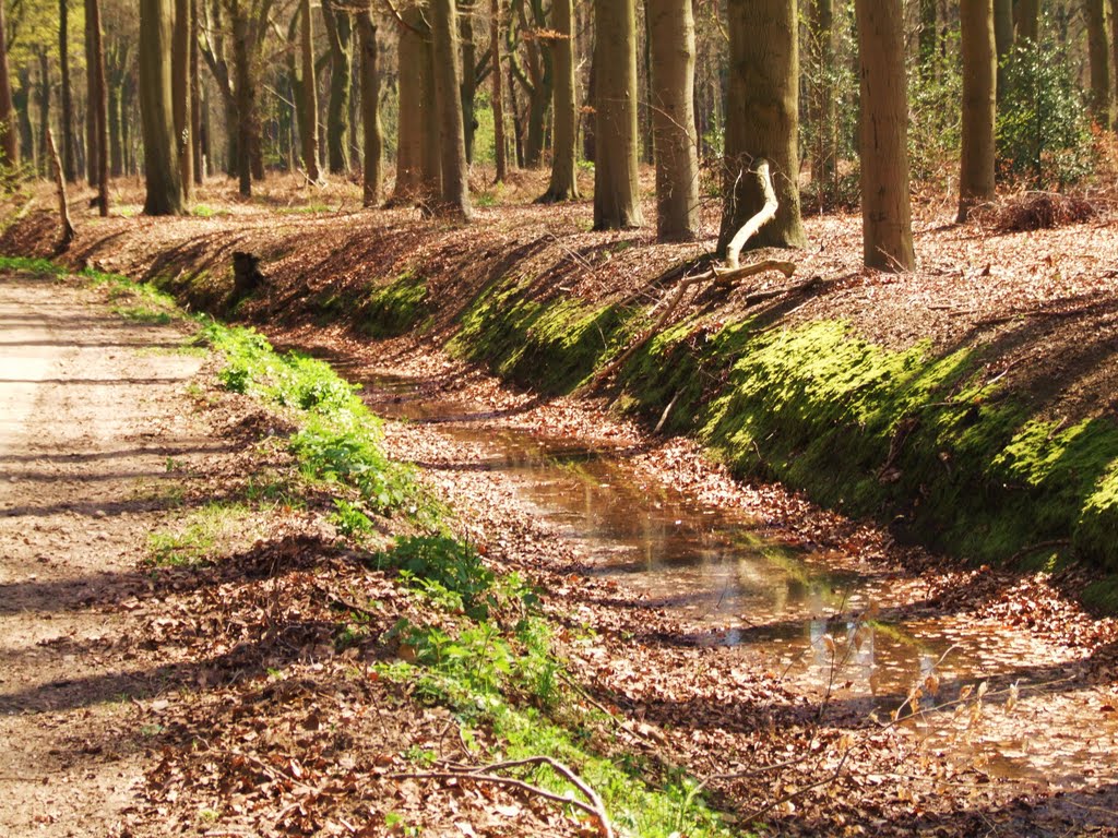 Volenbekerweg Putten by petervandegroep