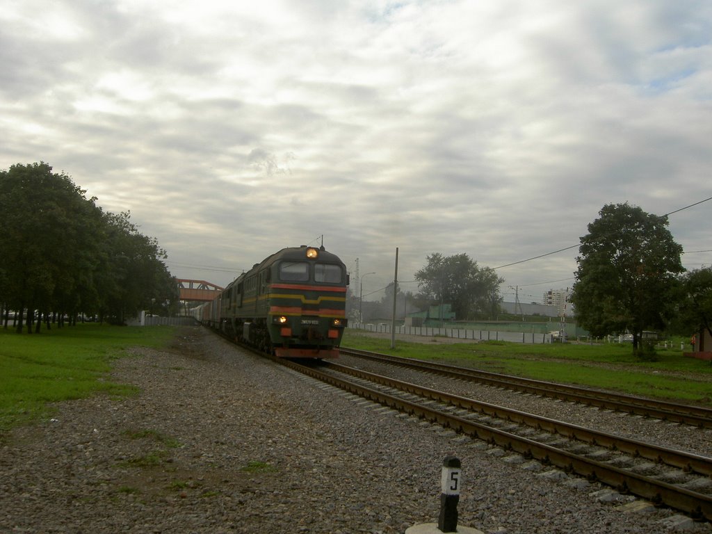 Russian Train (5 foot broad guage), Near Vladikino District by R. Sieben