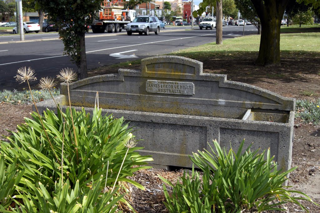 Horse Trough (2010). This is one of many similarly purchased across Australia from money bequeathed by George Bills, who died in 1927. These provided water for horses and were common until the 1960s by Muzza from McCrae