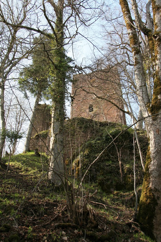 Château du Nideck by Wernain Samuel