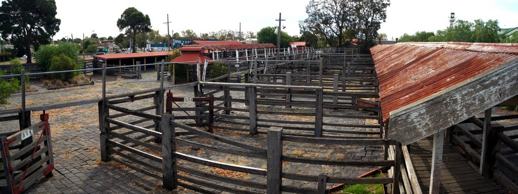 Newmarket Saleyards (2010). Built in 1874 and closed in 1987, this was a meeting place, a trading centre and a market in the oldest sense of the word by Muzza from McCrae