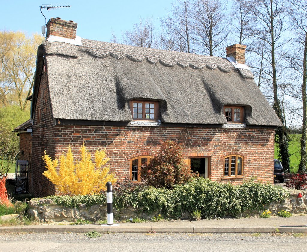 Elmstone - Thatched Cottage by David Carr