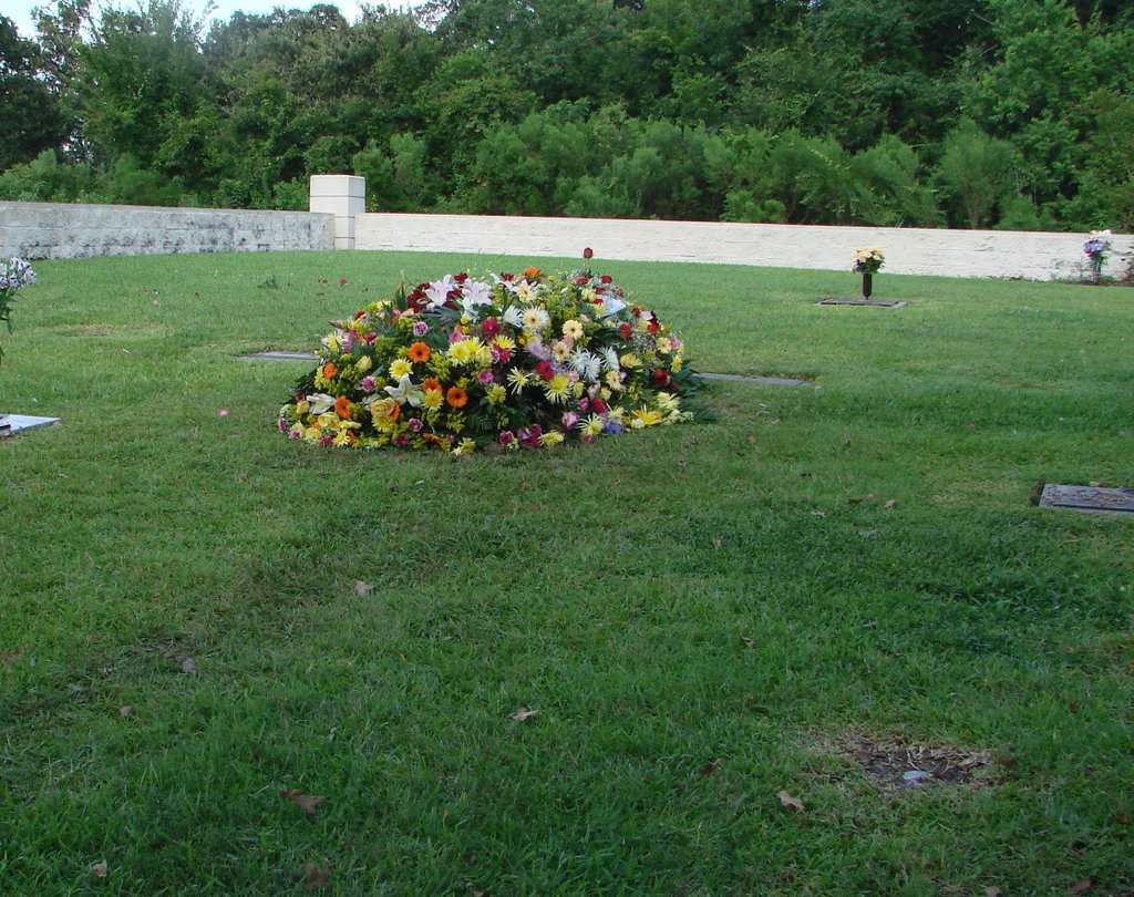 The new grave of my brother by Xiaobo Feng