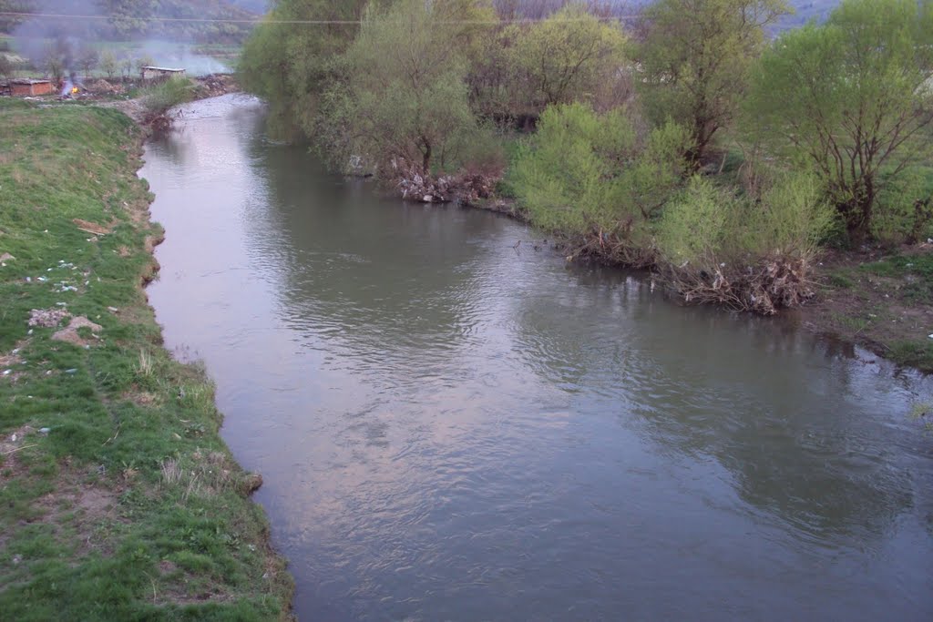 Toplica sa Gubskog mosta u Prokuplju - pogled nizvodno by Aleksa Randjelovic