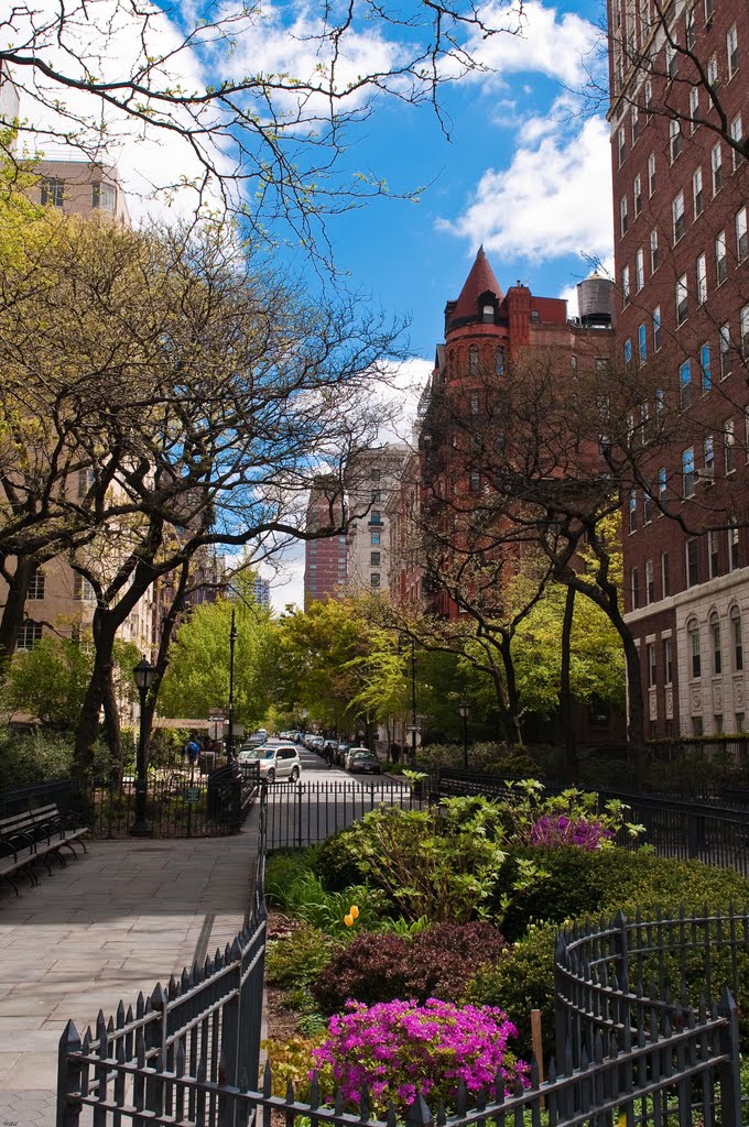 Brooklyn Heights Promenade by opus1ny