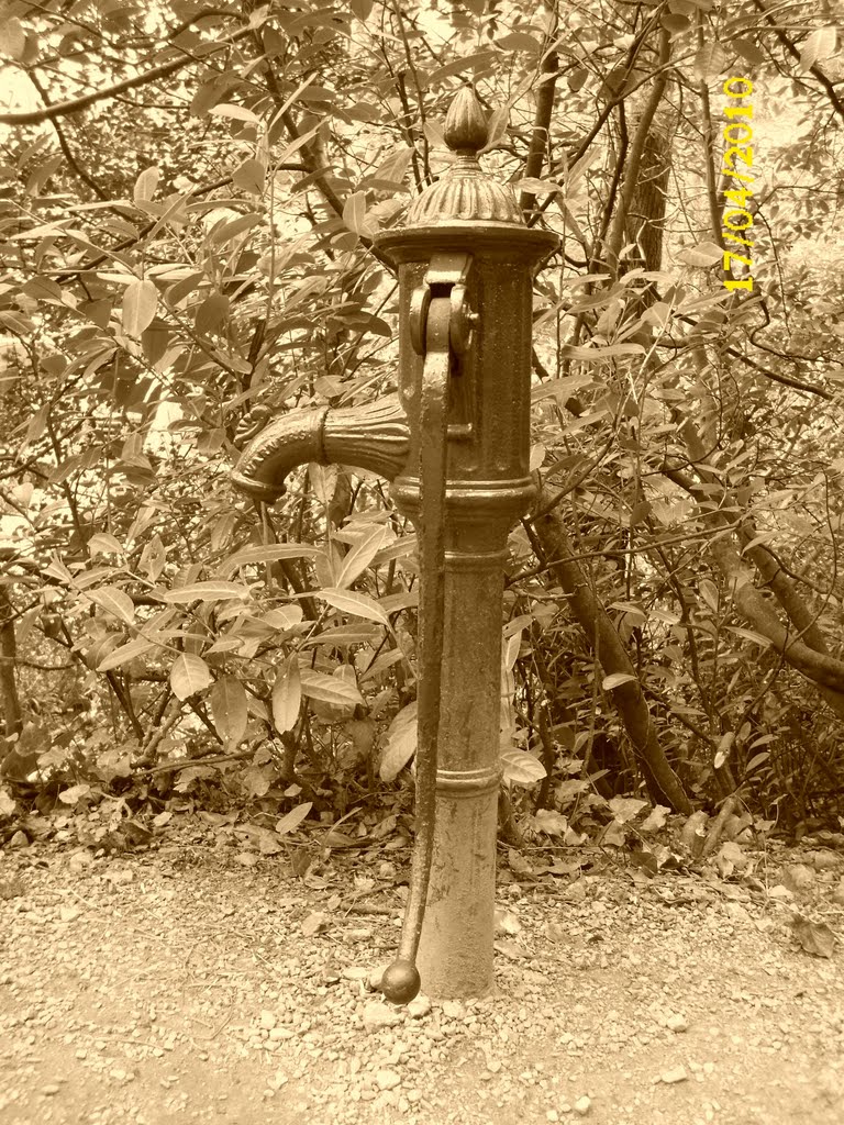 Old waterpump at Glendurgan Gardens Cornwall by Andrew(ollie)Johnson