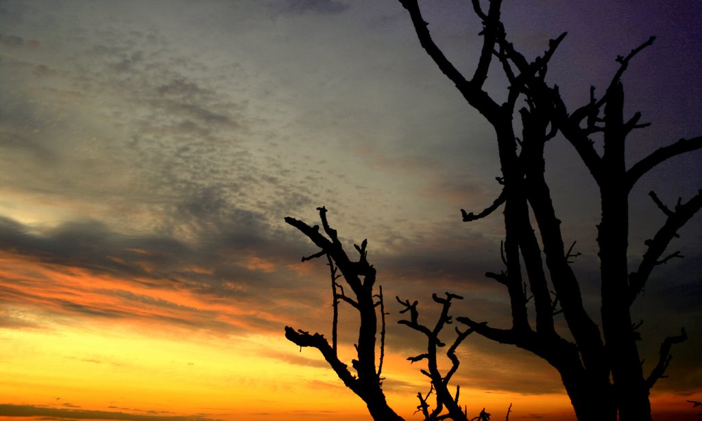 Avondrood Zwijndrecht by Marco L