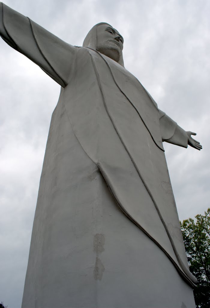 Christ of the Ozarks by Brooks Family