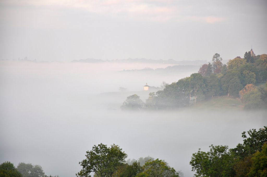 Early morning view by Bob Hague