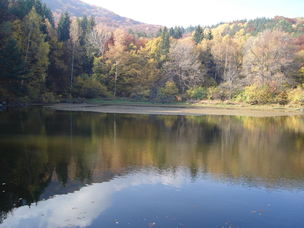 Boyana Lake by bachokala