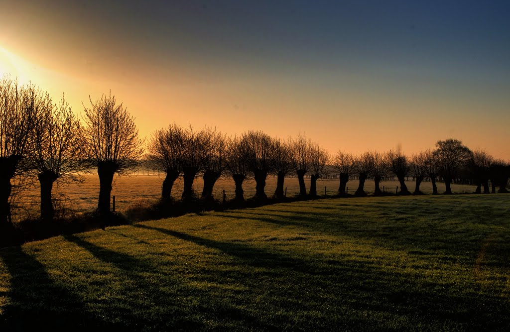 Morning shadows by Gerrit Pook