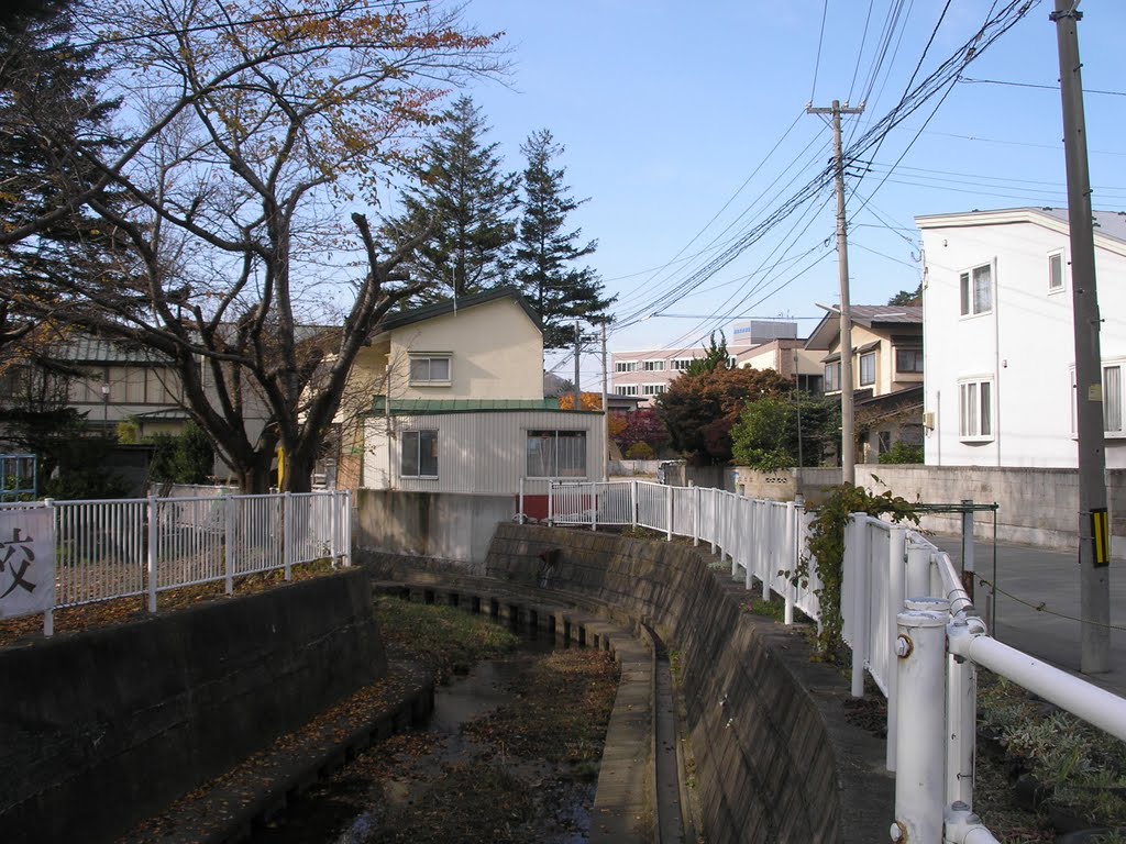 Facing WNW along the canal, Nov 2008 by RoadWearier