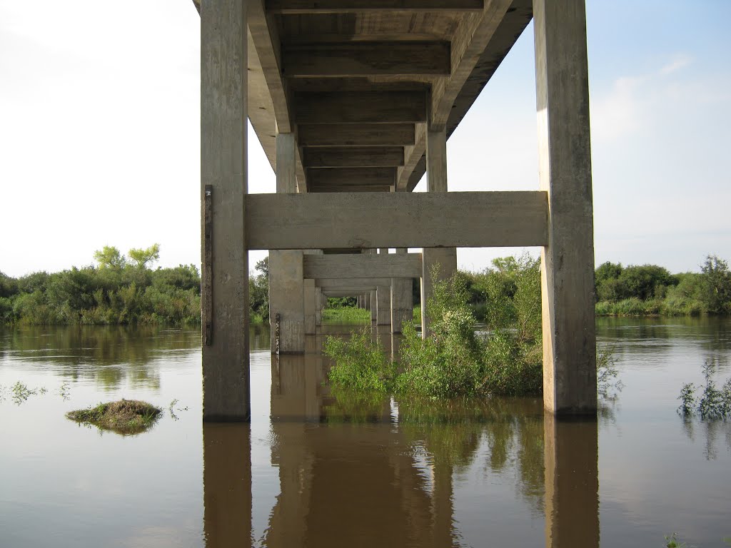 BAJO EL PUENTE by DIEGO A GALLEGO