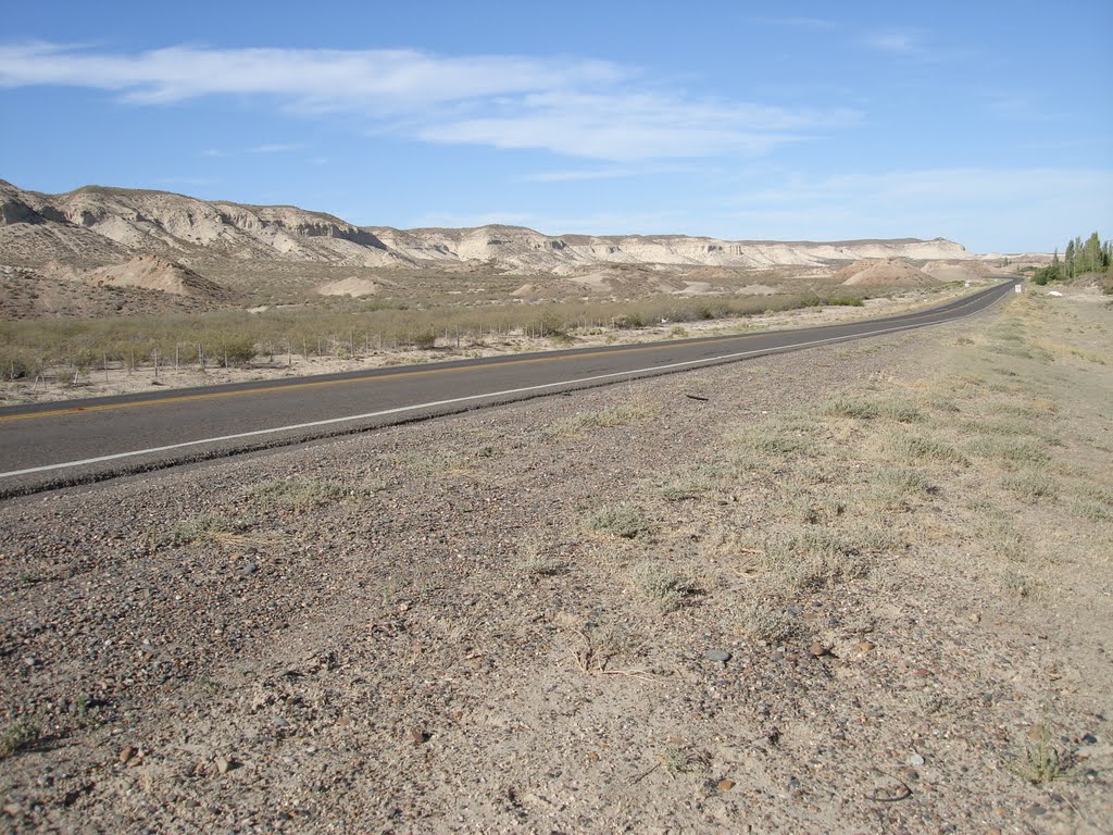 Ruta 25, altura Gaiman, Chubut, Argentina by Mario Rotondi